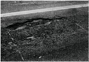 DISTRESS IN BITUMINOUS PAVEMENT