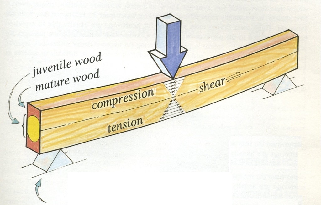 Deflection Vs Bending In A Beam - vrogue.co