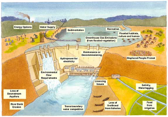 what-is-the-environmental-impact-of-dams-and-reservoirs-worldatlas