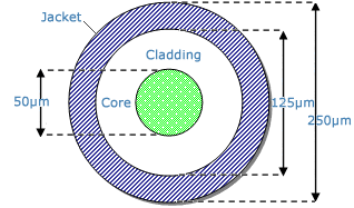 Cross-Section of Optical Fiber