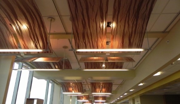 Acoustical Ceiling Arrangement