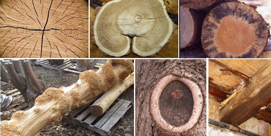Different types of Wood | Comparision of Various Wood Types | Softwood vs  Hardwood - CivilDigital -