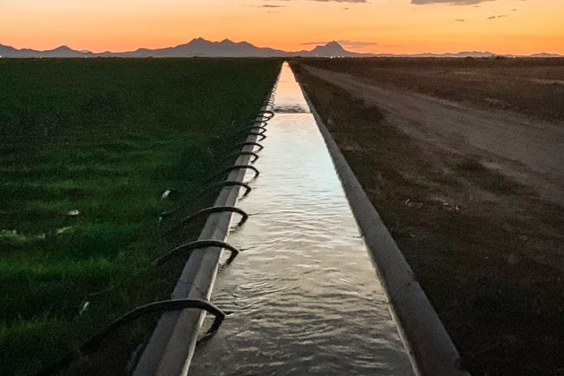 What is Irrigation? Types of Irrigation