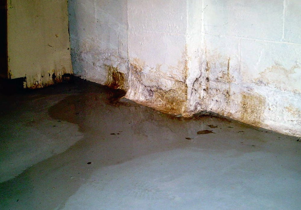 How to Deal With a Wet Basement? - The Constructor