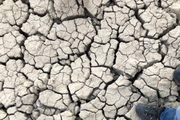 Properties of Sodic Soil